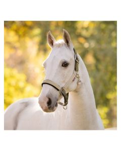 LeMieux Halfter Heritage Headcollar