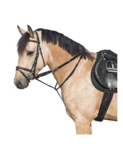 MONTIVUM Thiedemann Springkombination