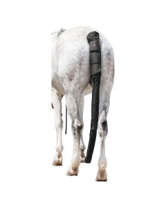 black forest Schweifschoner Long