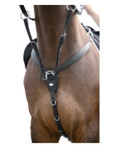 kieffer Vorderzeug Jessica