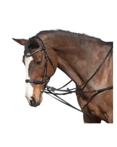 MONTIVUM Geteilter Dreieckszügel