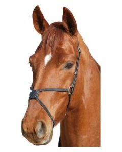 Mexikanisches Reithalfter, schwarz