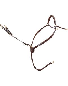 Passier Vorderzeug Marcus Ehning