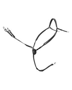 Passier Vorderzeug Marcus Ehning