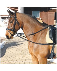 Ausbindezügel mit D-Ringen