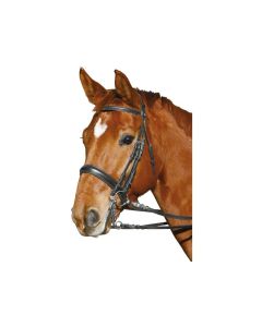 Kandarenzaum von Döbert, Gr. Pony