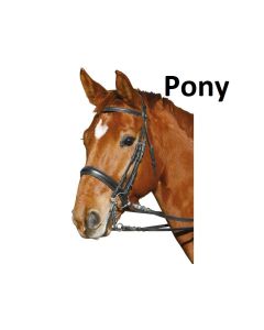 Kandarenzaum von Döbert, Gr. Pony