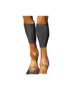 Gelenkschützer für Vorderbeine