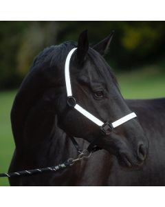PROTECT by Horse-friends Reflex-Halfter