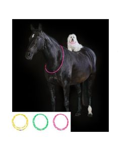 LED-Halsteil für Pferde, PROTECT by Horse-friends