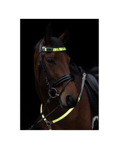 KERBL Stirnriemen LED