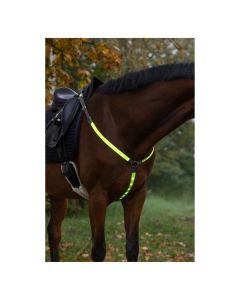 KERBL Vorderzeug LED