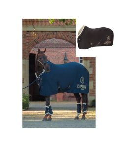 Abschwitzdecke Aerial Jersey, Eskadron Heritage Collection