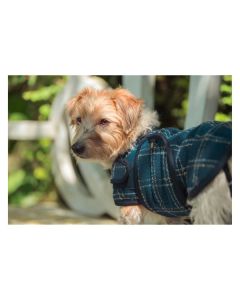 Hundemantel Bouclé, Eskadron Heritage Collection