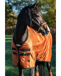 HALFTER LIGHTWEIGHT DOUBLE PIN ESKADRON