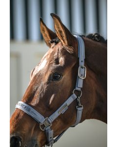 HALFTER SPARKLE DOUBLE PIN ESKADRON