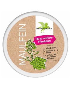 BENSE & EICKE Maulfein