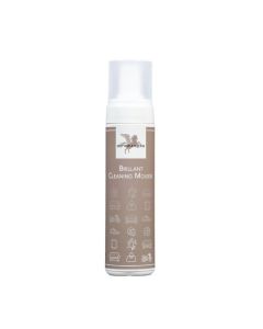 BENSE & EICKE Brillant Cleaning Mousse
