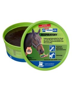 HORSLYX Leckstein mini, 650 g