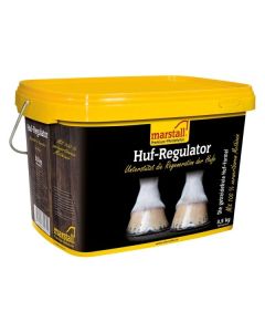 marstall Huf-Regulator