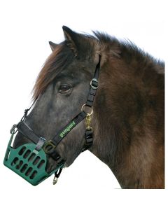 Greenguard Halfter