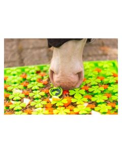 Excellent Schnüffelmatte für Pferde