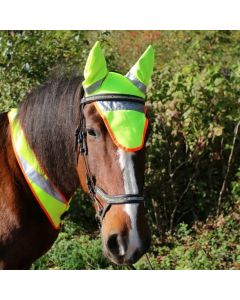 Leuchtohrengarn Washington