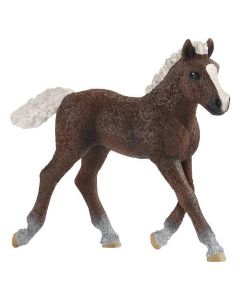 Schleich Schwarzwälder Fohlen