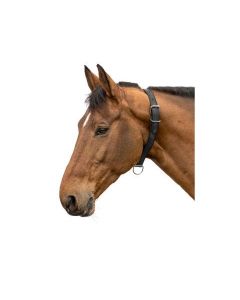 Halsriemen aus Kunststoff