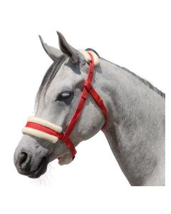 Koppelhalfter, Weidehalfter