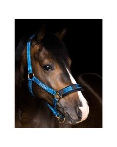 stübben Stallhalfter