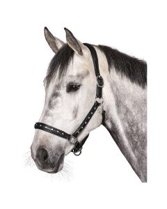 Lederhalfter Adelaide, Cheval de Luxe