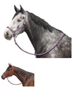 Halfter-Set Terni, IRISh INNOVATION