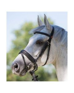 kieffer Trensenzaum Ultrasoft Economy