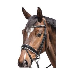 Trensenzaum Stuttgart, Gr. VB