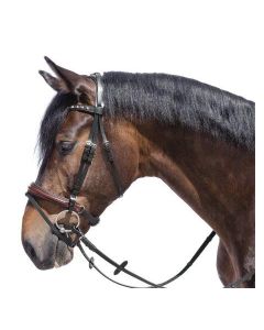 DÖBERT Trensenzaum Farmer Marron, Gr. WB