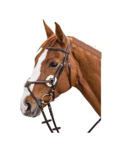 Trensenzaum León, Gr. VB