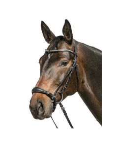 Trensenzaum Brisbane, Gr. X-WB