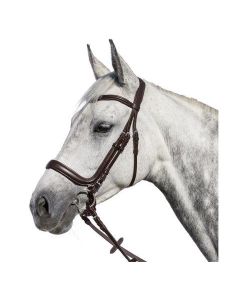 Trensenzaum Melbourne, Gr. VB, havanna