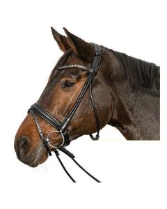 Trensenzaum Montpellier, Cheval de Luxe