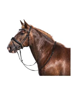 Loesdau Kaltbluttrensenzaum Braga, Gr. KB