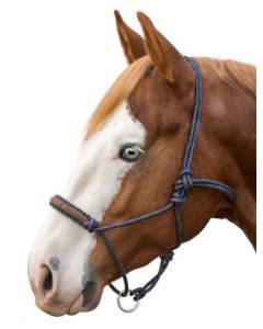 L-pro West Knotenhalfter Bicolor