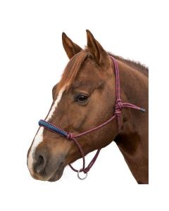 L-pro West Knotenhalfter Bicolor