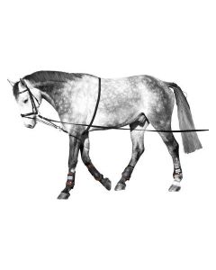 EQUEST Longierhilfe Profi