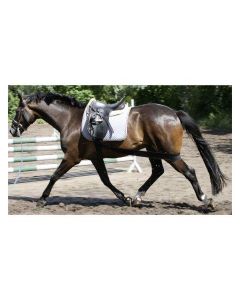 EQuest Körperbandage