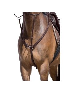 Vorderzeug Miami, Cheval de Luxe