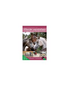 Pferde verstehen - Umgang und Bodenarbeit