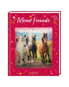 Freundebuch Pferdefreunde, DIE SPIEGELBURG