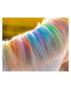 Regenbogenfarbige Kreide Lucky Horse Unicorn