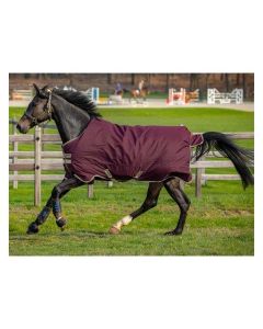 Horseware Weidedecke AMIGO Hero Ripstop 100 g